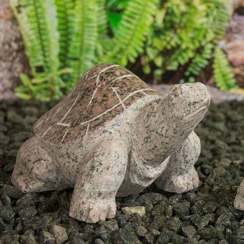 gr631 stor skildpadde granit 1