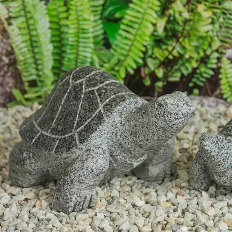 gr633 stor skildpadde graa 1
