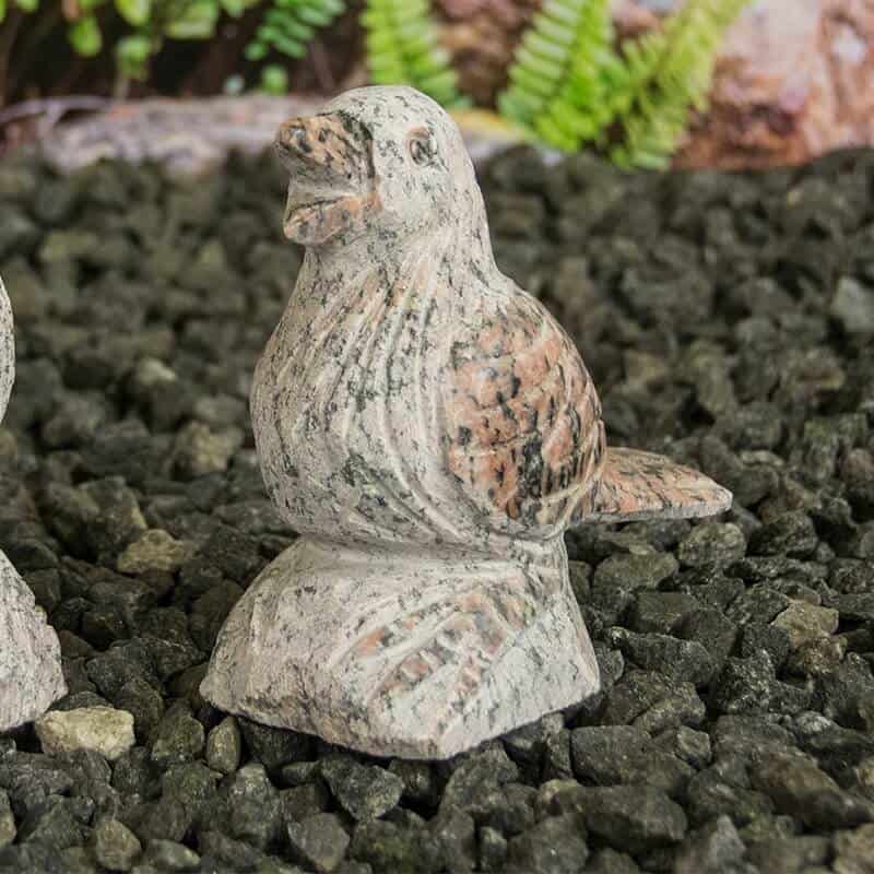 gr634 rosa fugl paa klods 1