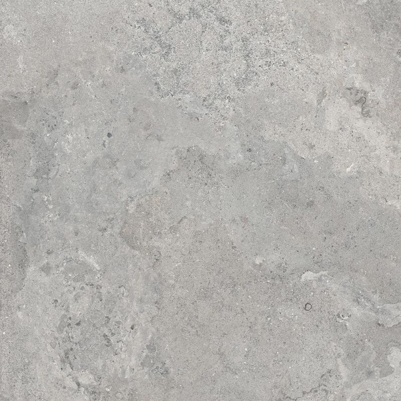 ancona ash 120240