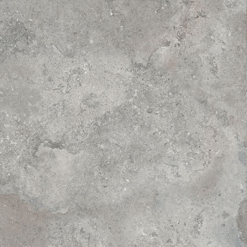 ancona ash