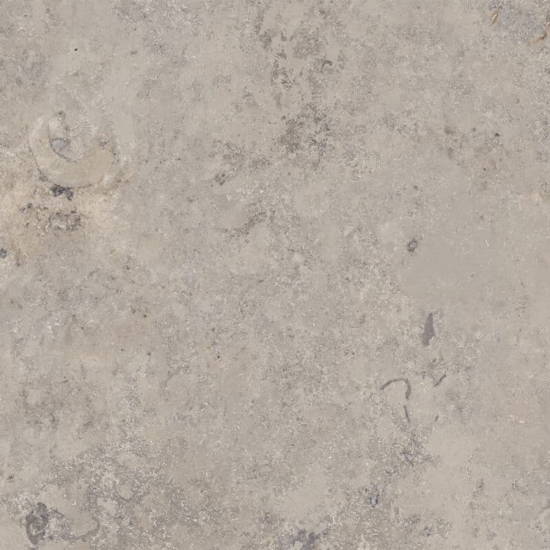 modenese grey taet