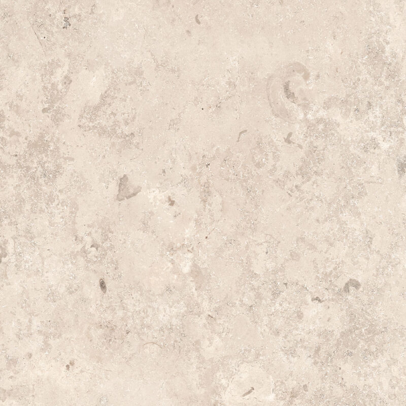 modenese pure taet